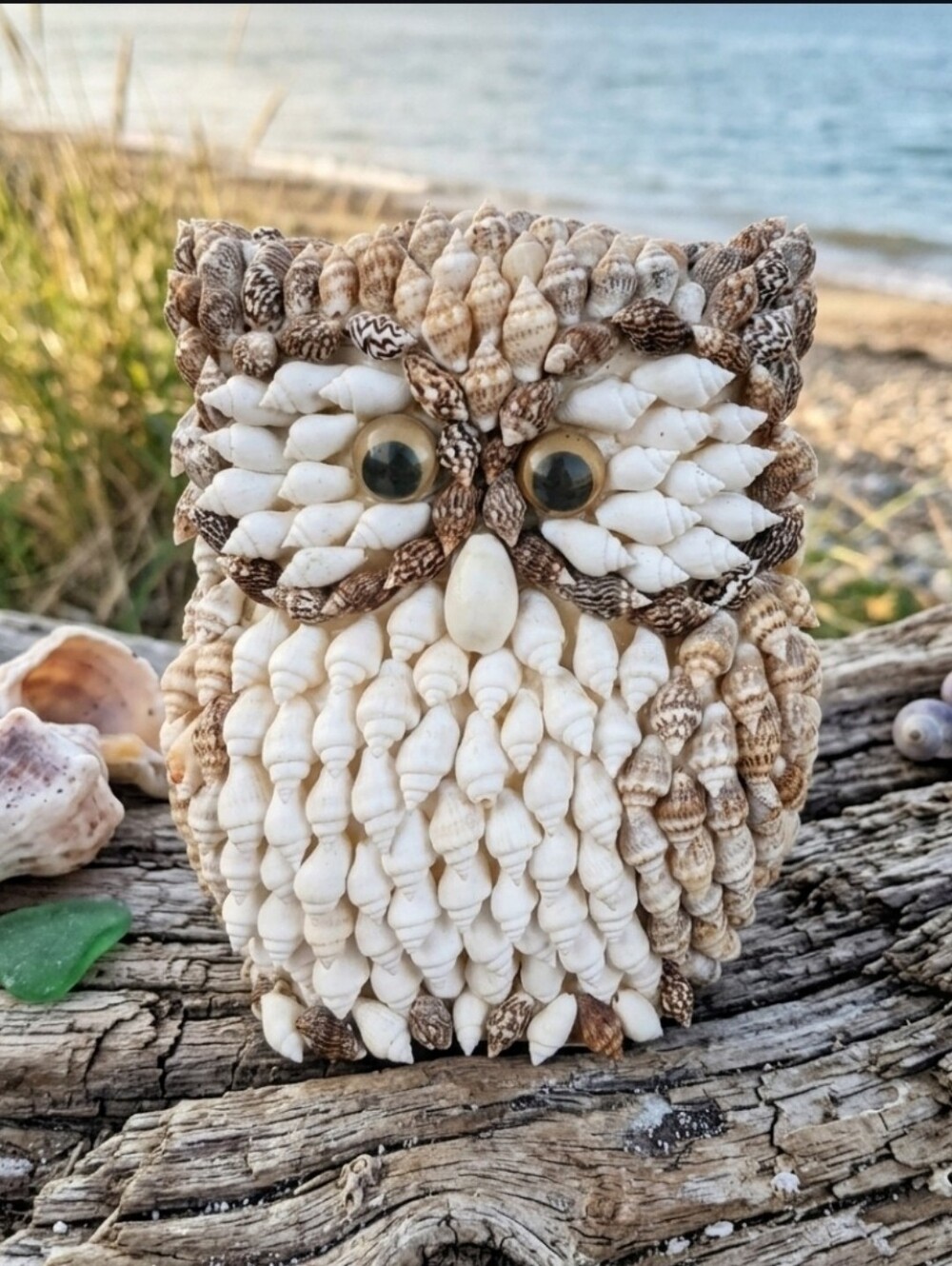 🛍UNIQUE Vintage Sea Shell Owl Figurine | Coastal Folk Art Bird | Beach